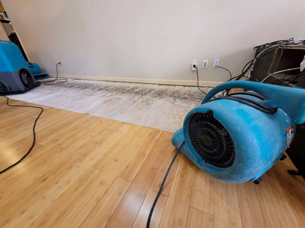 Professional Basement Flood Cleanup technician working in New Brunswick, NJ